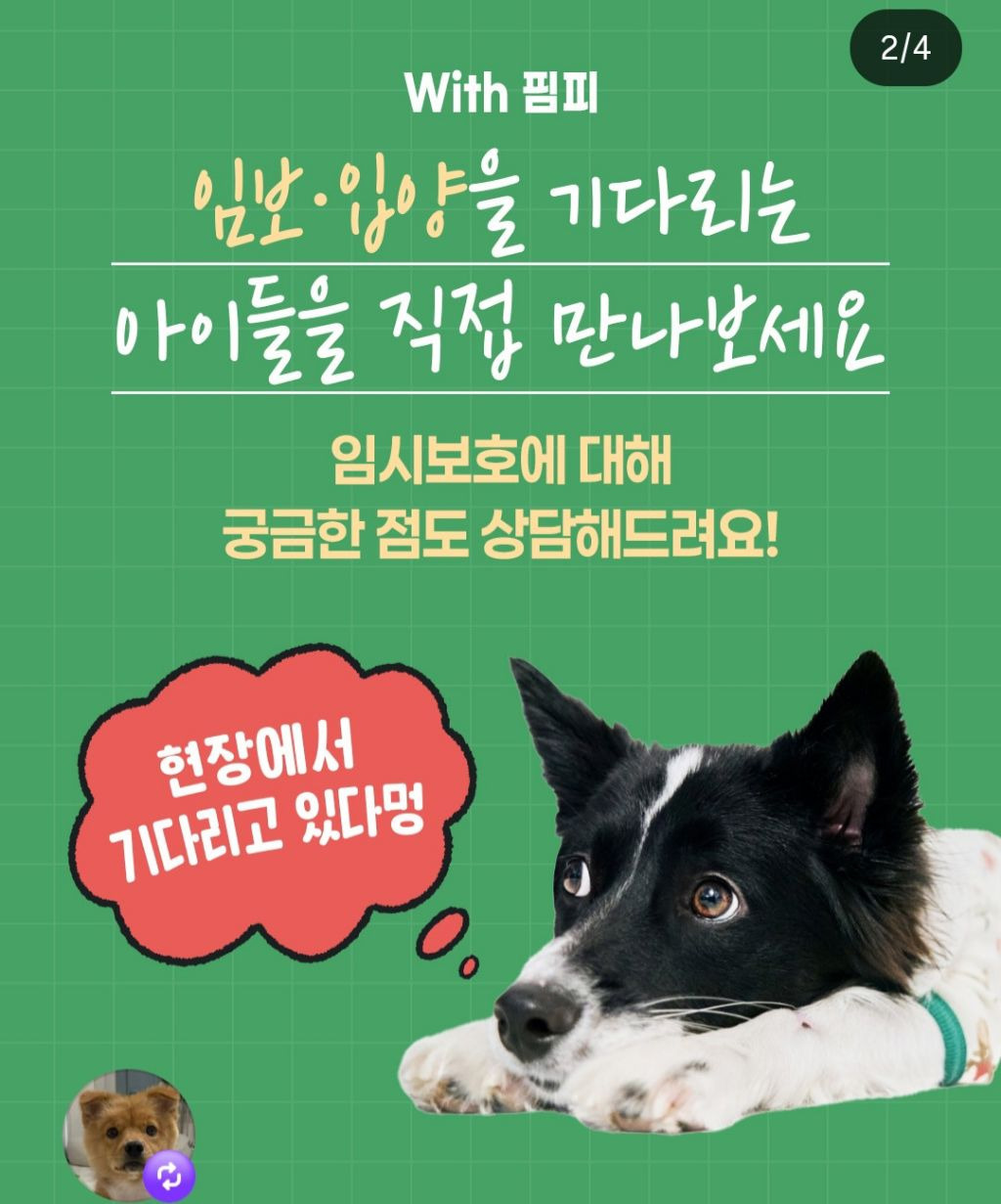 오늘부터 수원 스타필드에서 열리는 행사 | 인스티즈