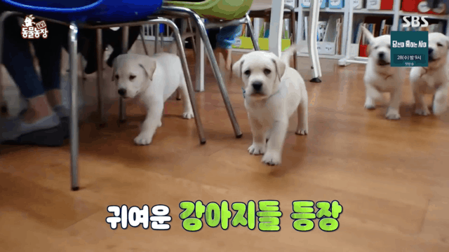 아이들이 공부하던 공부방 습격당하는 장면...gif | 인스티즈