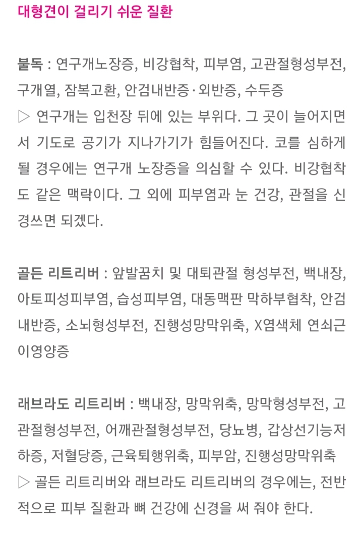 품종묘 보다 품종견에 관대한 사람들.jpg | 인스티즈