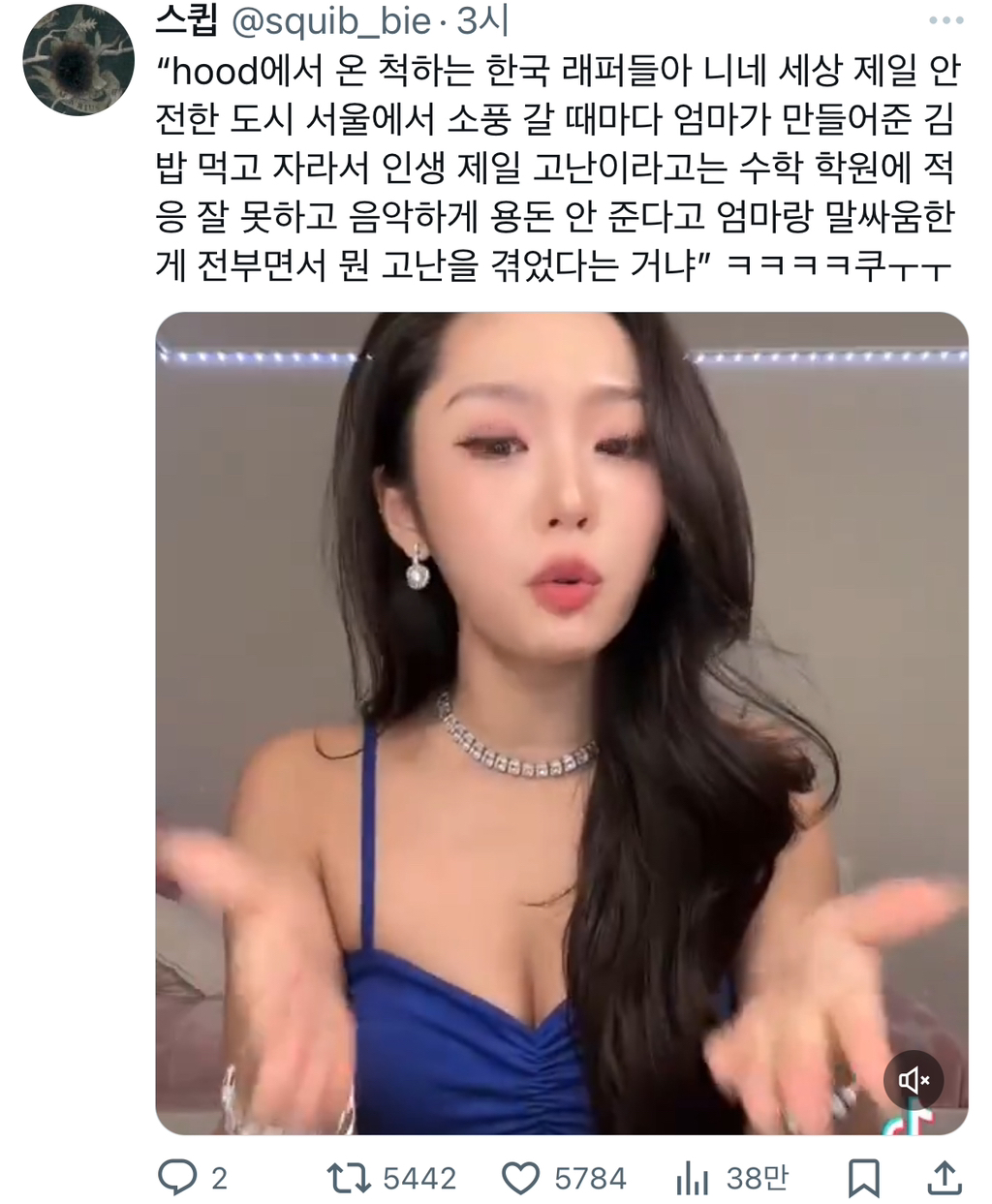 hood에서 온 척하는 한국 래퍼들아 니네 세상 제일 안전한 도시 서울에서 소풍 갈 때마다 엄마가 만들어준 김밥 먹고 자라서 .twt | 인스티즈