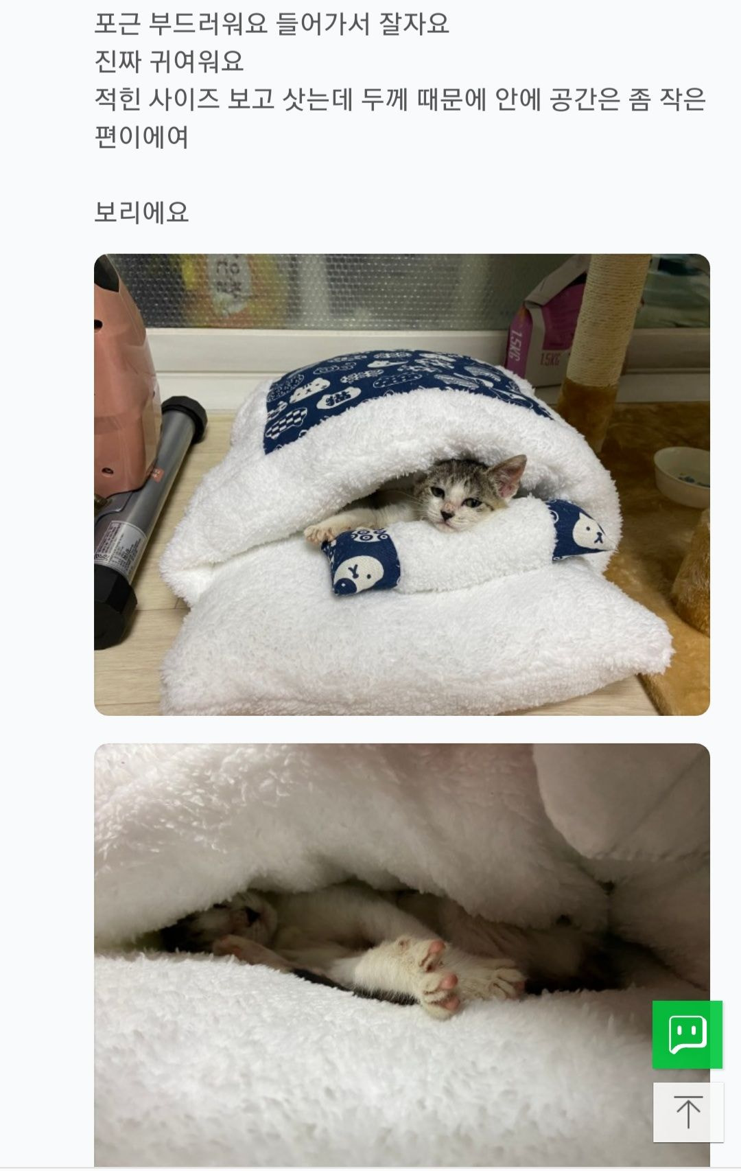 짱 귀여운 고양이 이불구매 후기 | 인스티즈