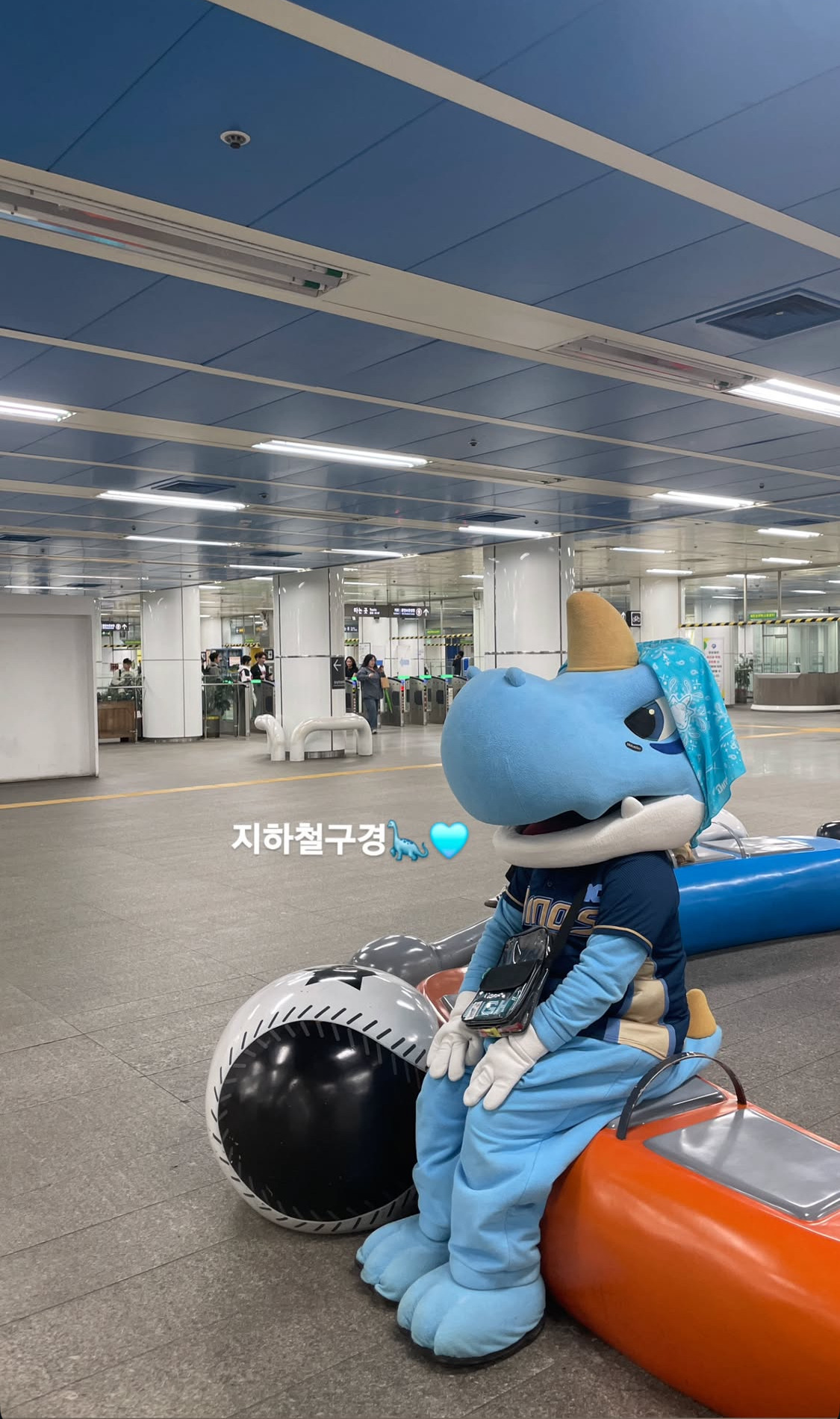 단디 이미지