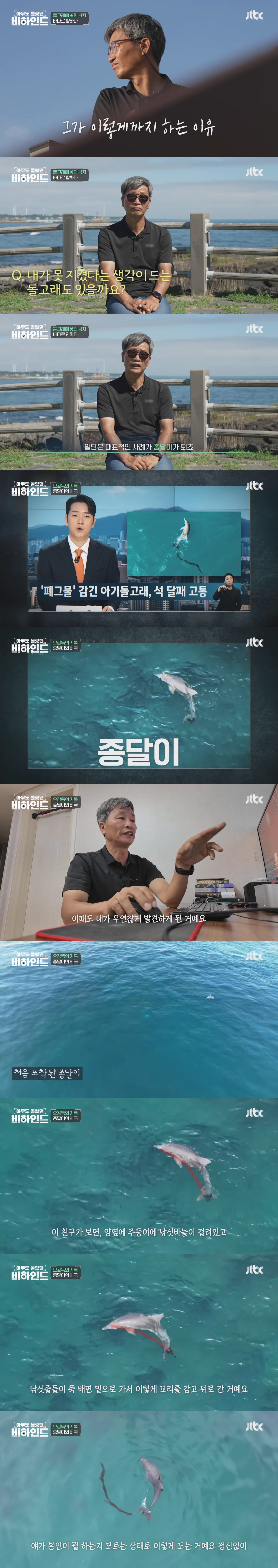 인간이 버린 쓰레기에 걸려 고통 받는 돌고래들을 따라다니는 돌고래 아빠 | 인스티즈