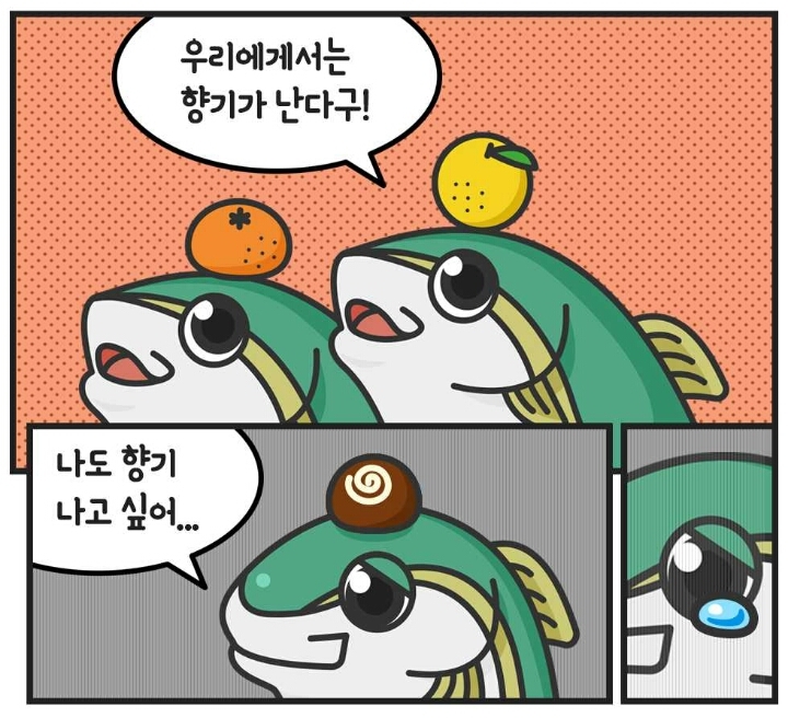 생선한테 초콜릿 먹임.jpg | 인스티즈