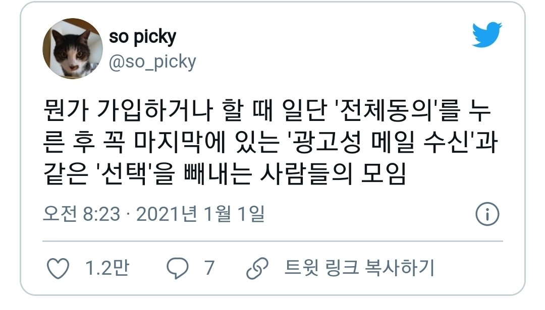 회원가입할 때 이런 사람 은근 많음.twt | 인스티즈