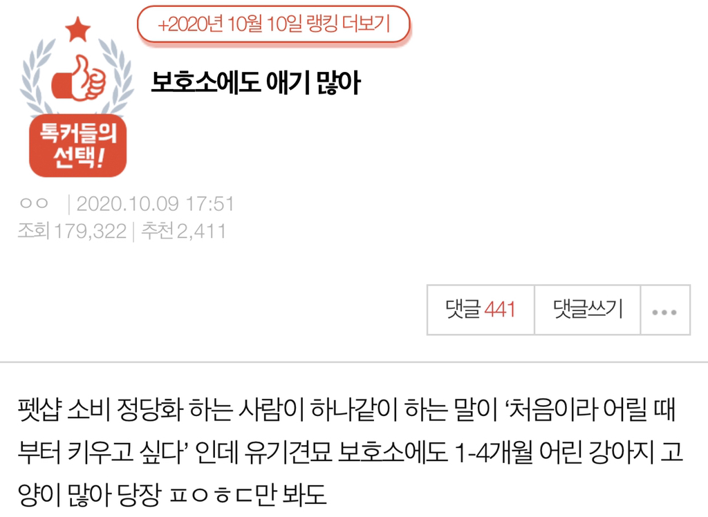 보호소에도 애기 많아