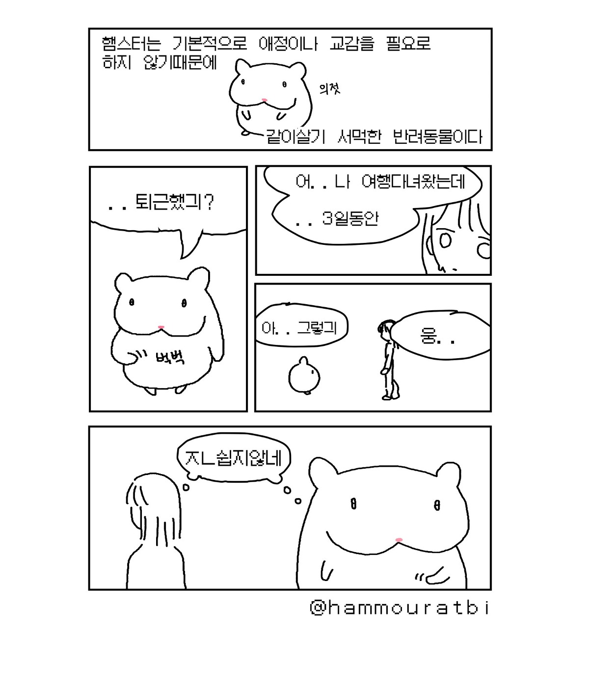 3일 여행 다녀온 주인과 햄스터 | 인스티즈