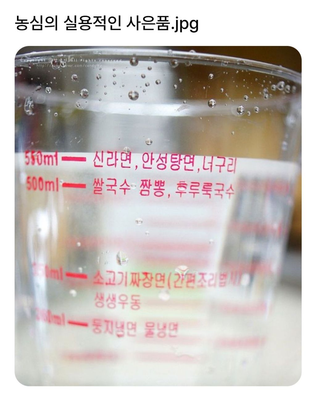 농심의 실용적인 사은품 | 인스티즈