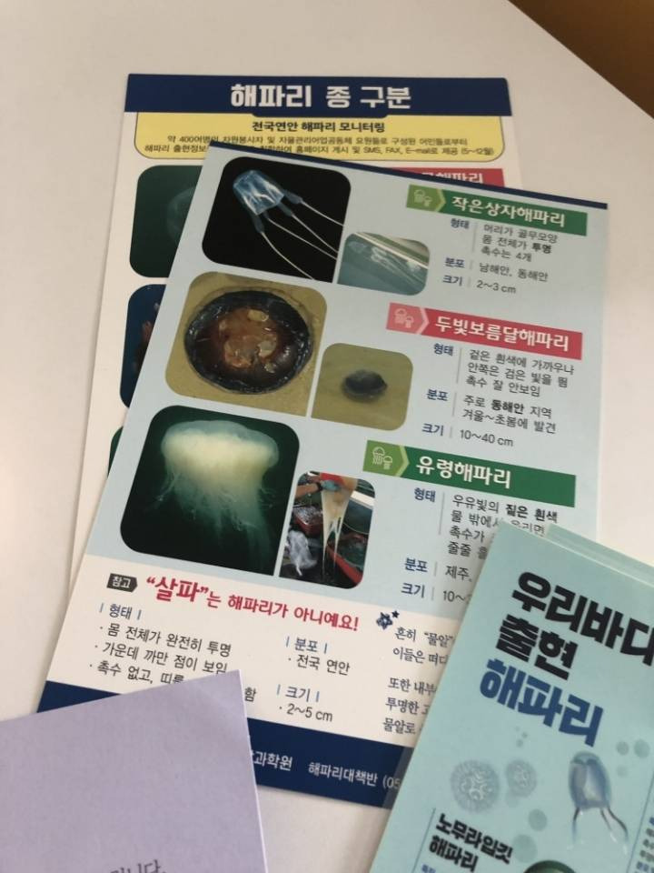 신혼여행 가서 해파리 쏘인 사람이 국립수산과학원한테 받은 것 | 인스티즈