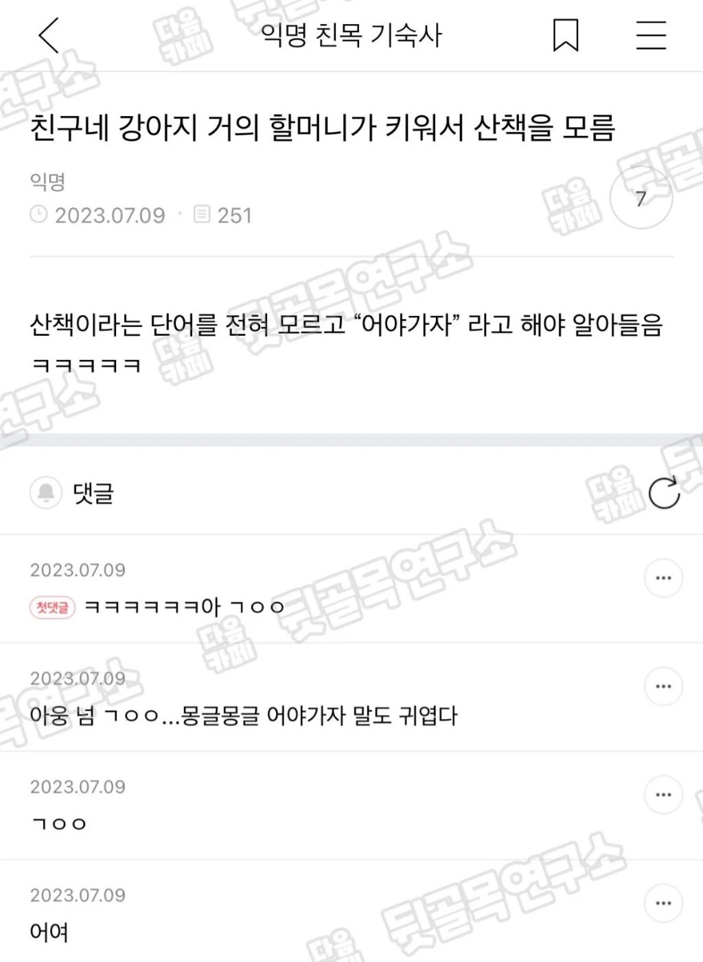 친구네 강아지 거의 할머니가 키워서 산책을 모름 | 인스티즈