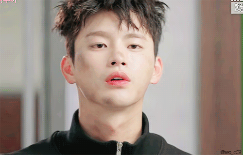 내가 강아지를 한 명 주웠는데 gif | 인스티즈