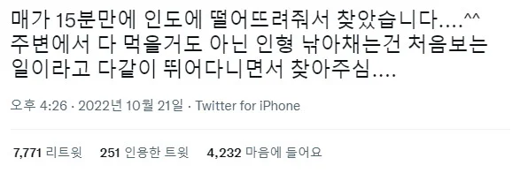 바닷가에서 인형 사진을 찍으면 안되는 이유 | 인스티즈