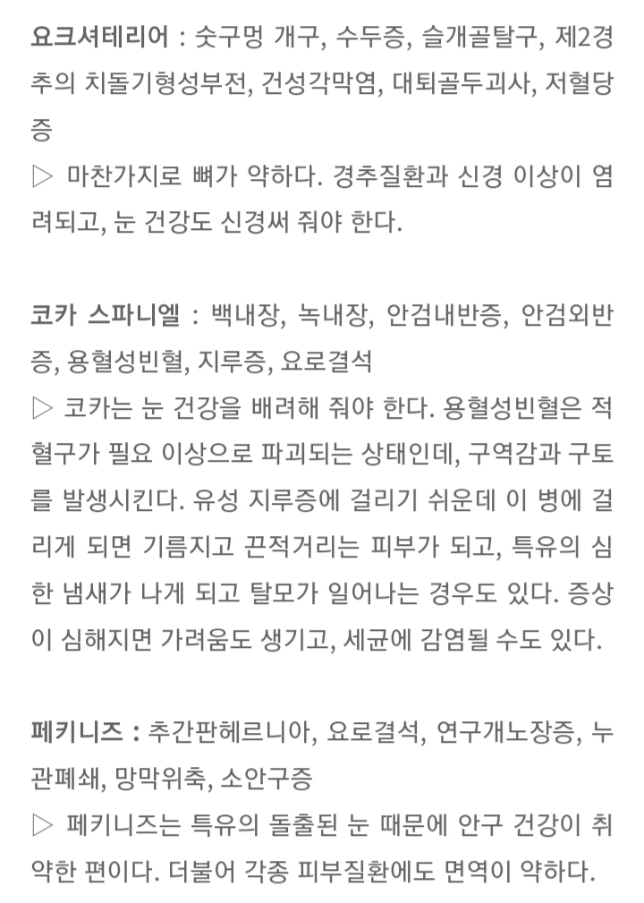 품종묘 보다 품종견에 관대한 사람들.jpg | 인스티즈