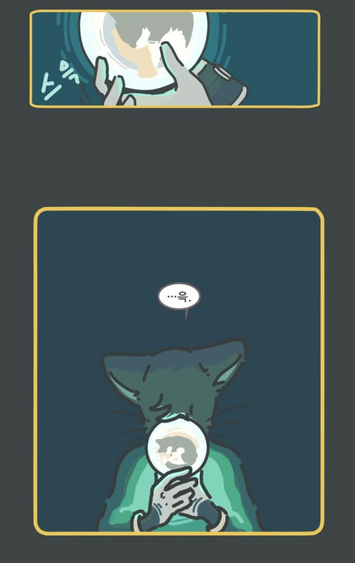 죽고 난 뒤 주인이 자신을 버린게 아니라는걸 안 고양이 | 인스티즈