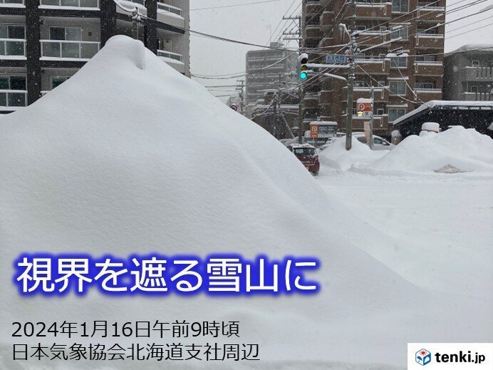 현재 일본 삿뽀로 상황.jpg | 인스티즈