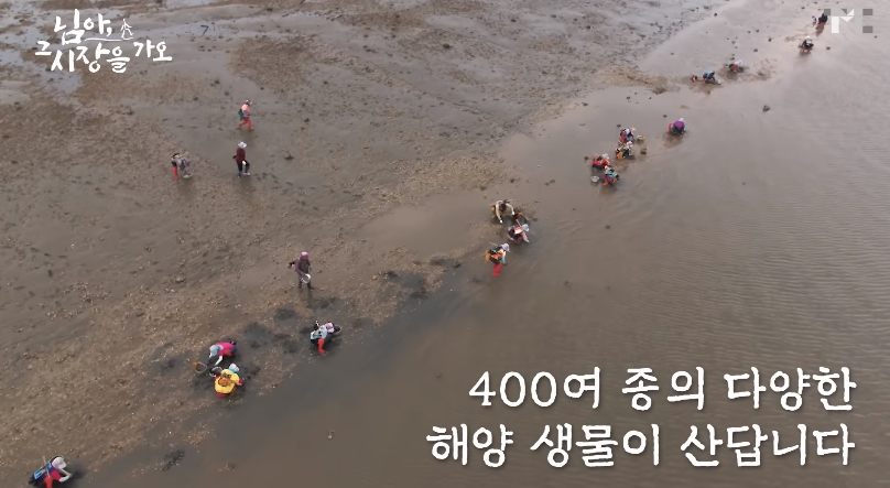 백종원 유튜브 순기능 | 인스티즈