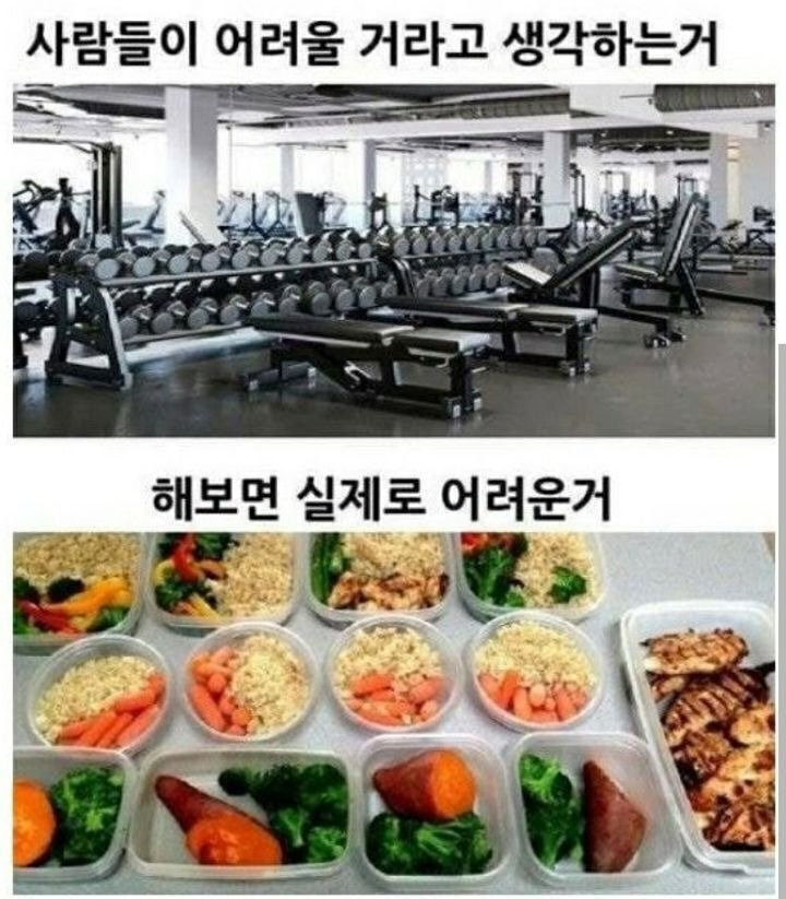 다이어트 할 때 가장 힘든 거 (상상 vs 현실) | 인스티즈