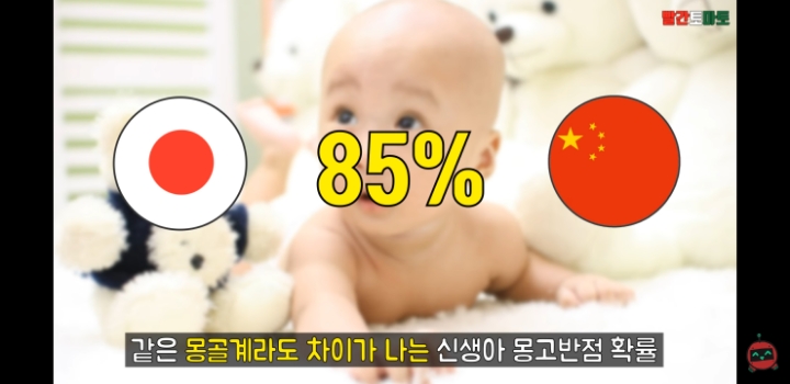 한국인 종특 | 인스티즈