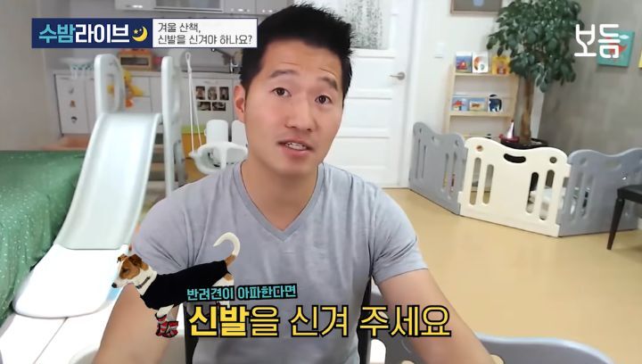 눈 온 뒤 산책할때 강아지가 아파하는 "염화칼슘" 대처법 | 인스티즈