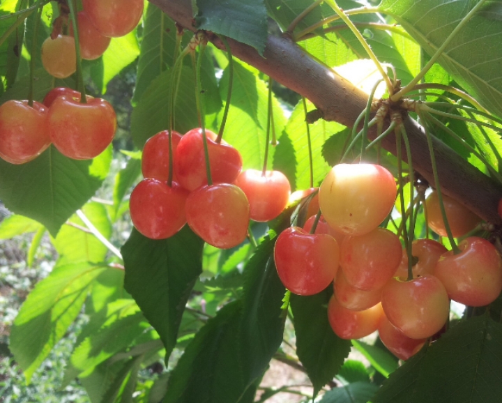 지극히 평화롭고 사랑스러운 | 인스티즈