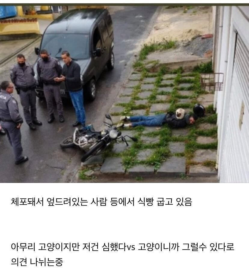 냥아치 인성 논란.jpg | 인스티즈
