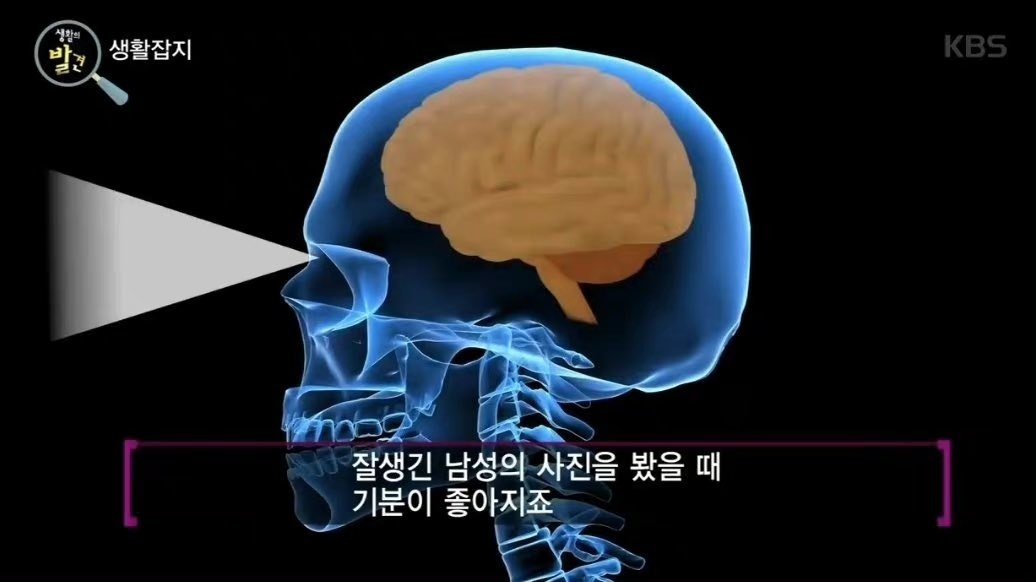 우리가 미남을 많이 봐야하는 이유 | 인스티즈