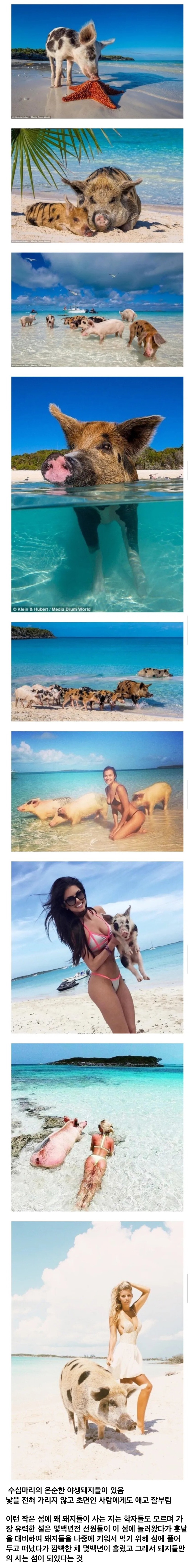 학자들도 모른다는 바하마의 섬........ | 인스티즈