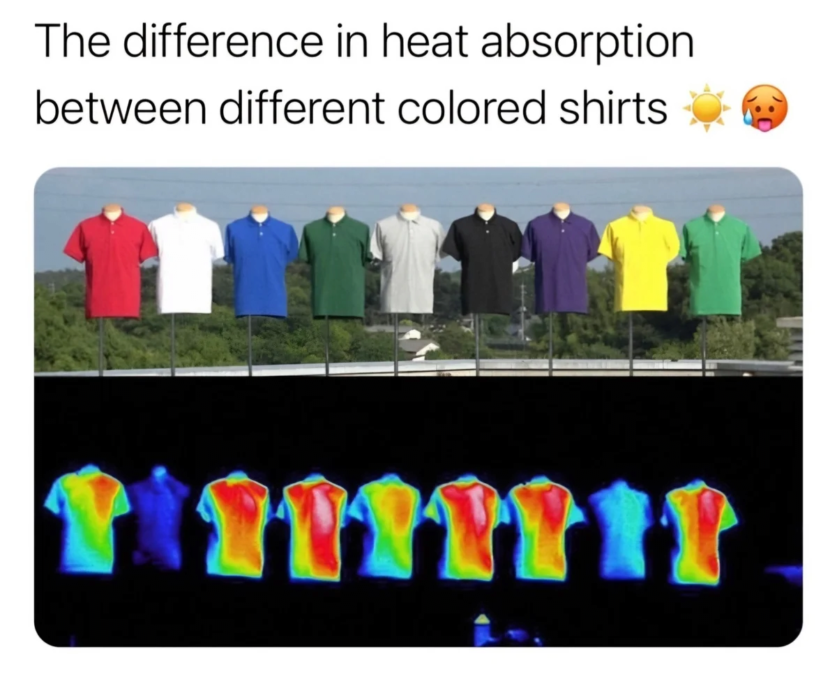 여름엔 흰옷을 입어야 하는 이유 | 인스티즈