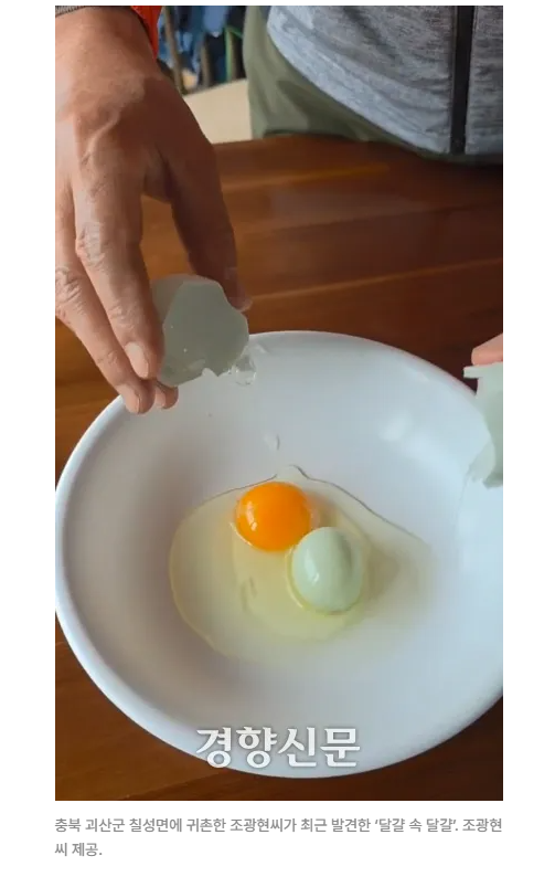 달걀 깨보니 또 달걀이?…충북 괴산서 청계가 낳은 '달걀 속 달걀' | 인스티즈