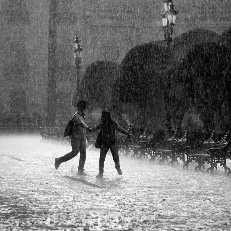 친했던 친구와 점점 보는 세상의 풍경이 달라진다는 건 참 슬픈 일이야.twt | 인스티즈