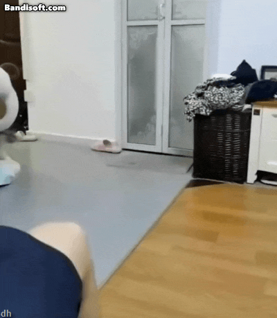 고양이 키우고 싶어지는 움짤쓰.gif | 인스티즈