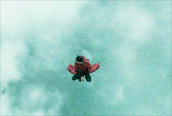 해리포터에서 가장 기억에 남는 남돌 그룹 메인 댄서 중 가장 본인 스타일 아이돌은?빗자루 비행 씬은? | 인스티즈