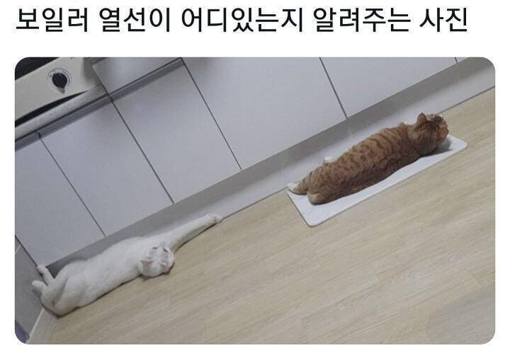 보일러 열선 어딨는지 알려주는 사진 | 인스티즈