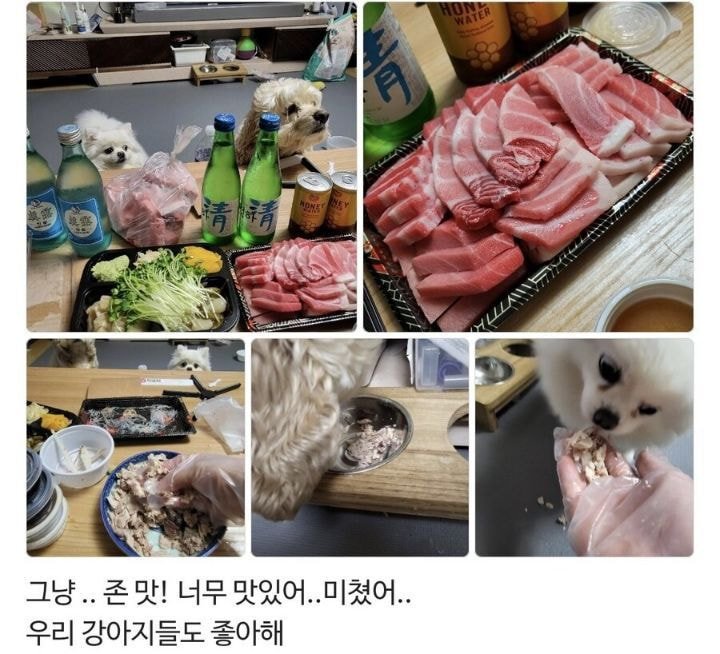 참치가게 이미지
