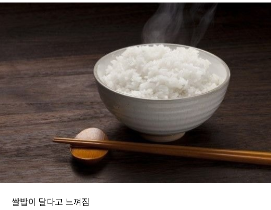 살 찌기 전조 증상. jpg | 인스티즈