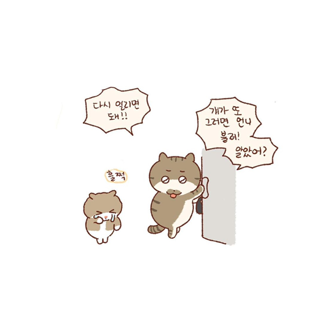 내 동생은 나만 괴롭힐 수 있어 | 인스티즈