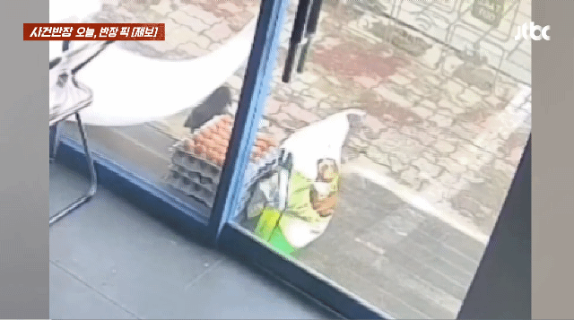 누가 달걀을 훔쳐가서 cctv를 봤는데.. | 인스티즈