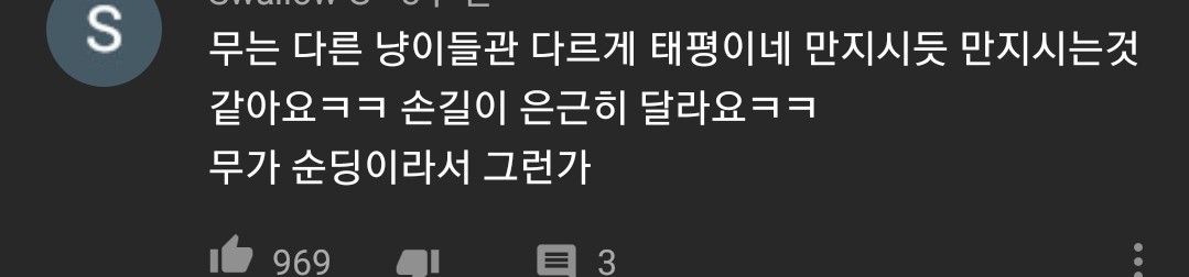 [hahaha] 냥이들 중에서 유독 봑봑봑 쓰다듬 당하는 냥이..jpgif | 인스티즈