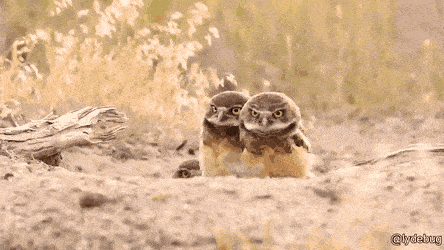 친구가 이상한 걸 하고 나타났다 | 인스티즈