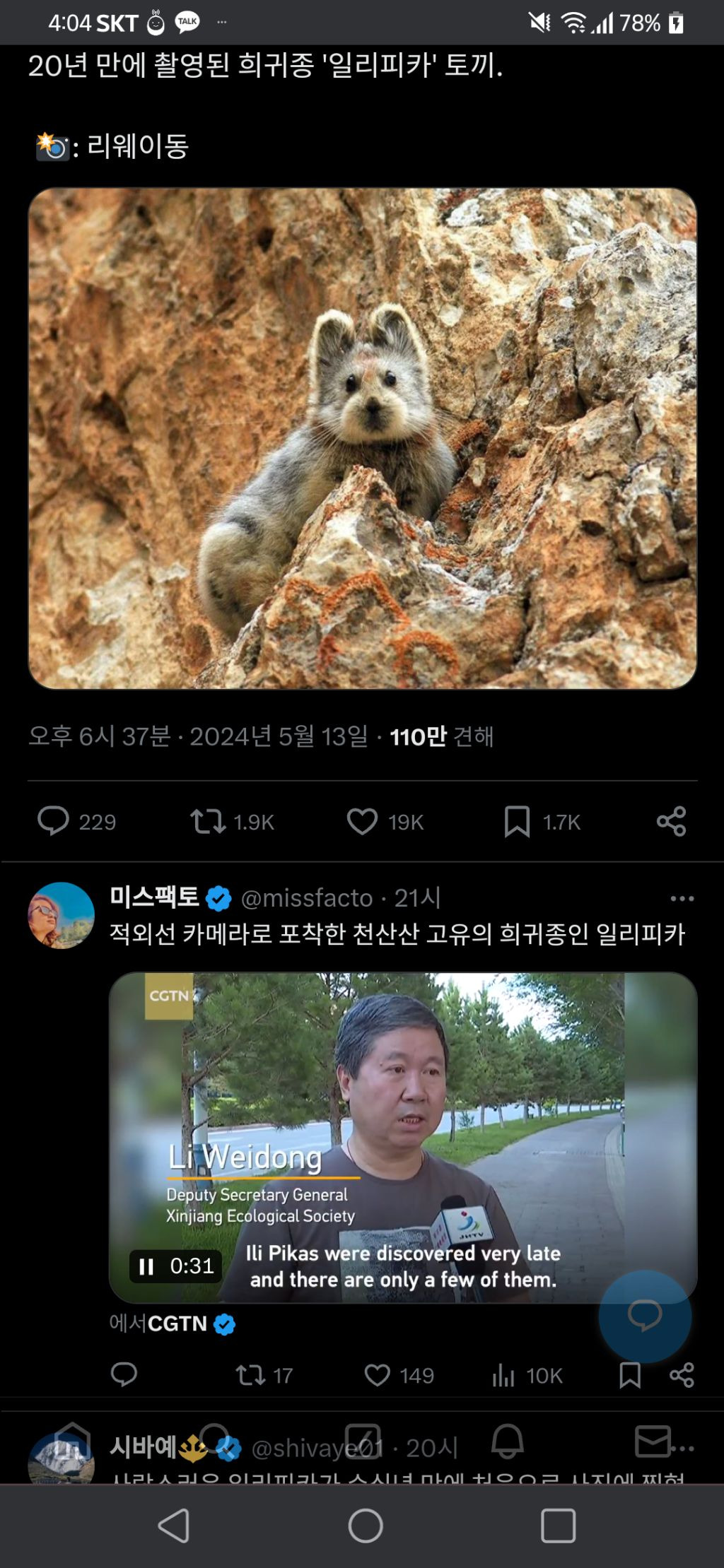 20년만에 촬영됐다는 희귀종 토끼 | 인스티즈