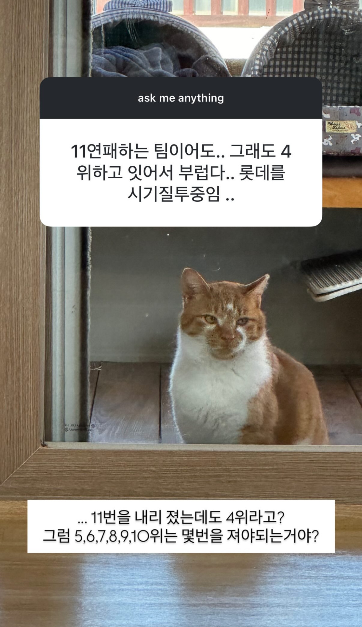 나 좋아하는 유투버 무물보다가 뼈맞음 | 인스티즈