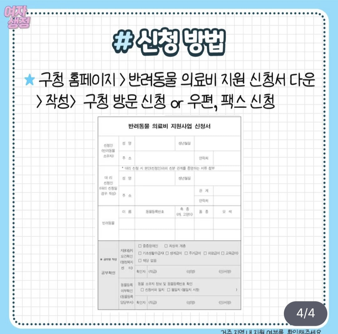 반려동물 의료비 지원 | 인스티즈