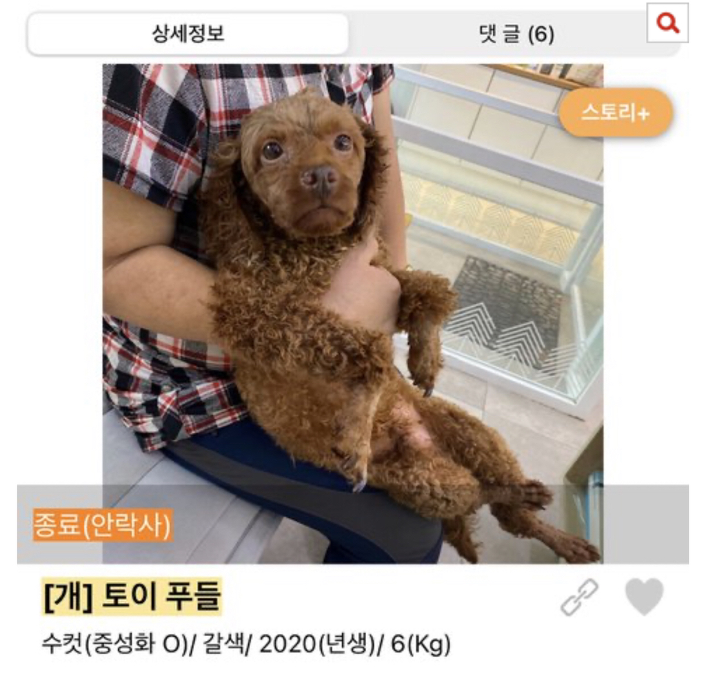 보호소에도 애기 많아 | 인스티즈