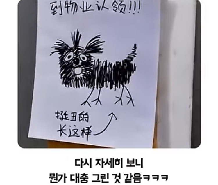 이 강아지 주인은 찾아가시오.jpg | 인스티즈