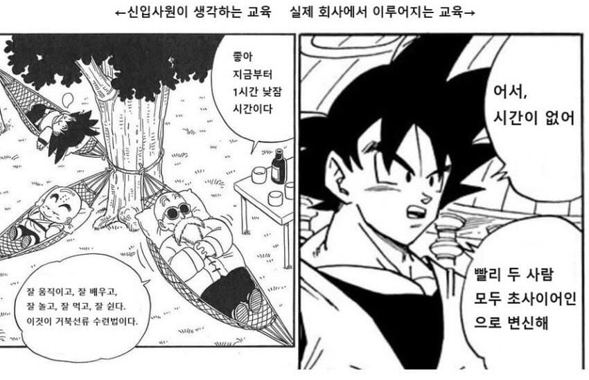 직장 신입이 느끼는 교육.. 상상 vs 현실 | 인스티즈