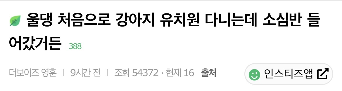 울댕 처음으로 강아지 유치원 다니는데 소심반 들어갔거든 | 인스티즈