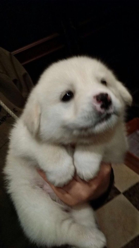 이거하고 10억 받기 vs 못한다 | 인스티즈