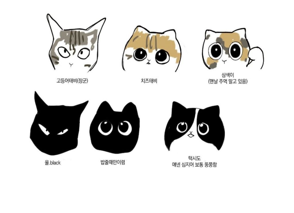 동네고양이 이미지