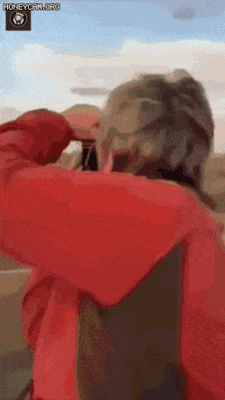의외로 만나면 공포라는 동물.gif | 인스티즈