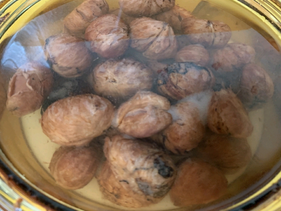 감성따윈 없었다 1박2일 단밤을 위한 개고생 시나리오 🌰보늬밤 만들기🌰 | 인스티즈